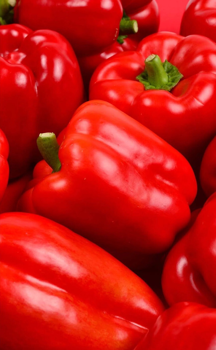 55+ California Wonder Bell Pepper BIG Heirloom Seeds NON-GMO Fresh Garden FAST