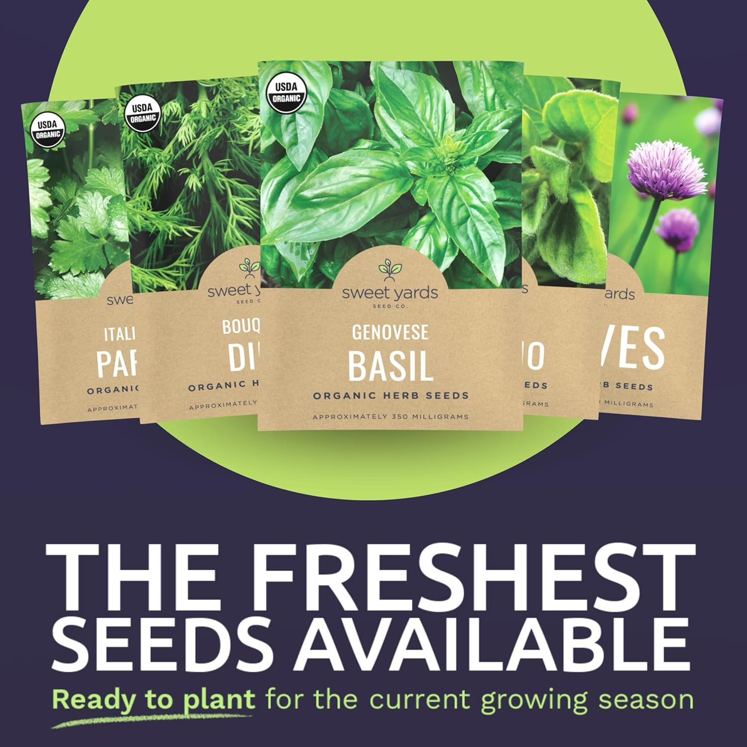 Organic Herb Seeds Variety Pack – 10 Individual Packs – 2026 Season – Basil, Cil