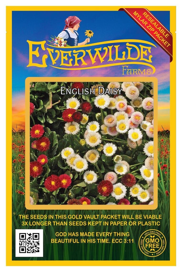 2000 English Daisy Mixed Wildflower Seeds – Everwilde Farms Mylar Seed Packet