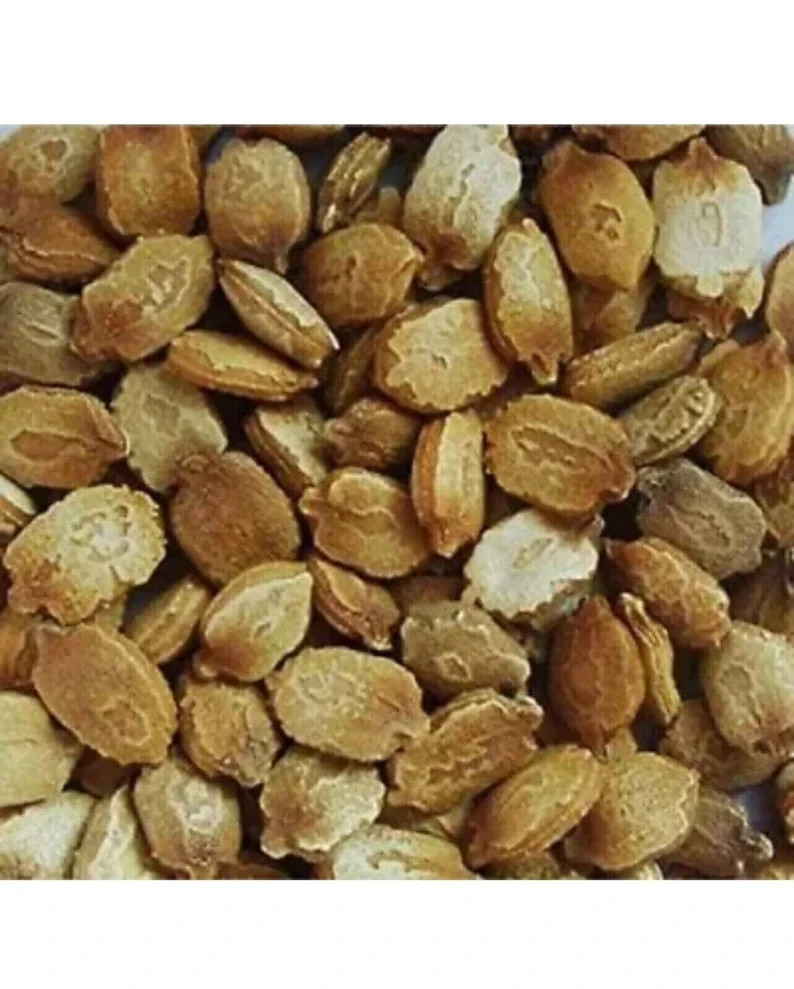 Fresh Harvest Bitter Melon Seeds | Non-GMO Karela