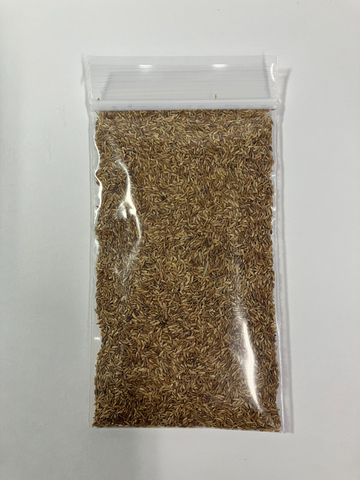 Zenith Zoysia 12,000 Grass Seeds for a Healthy Low-Maintenance Lawn – 1 ounce