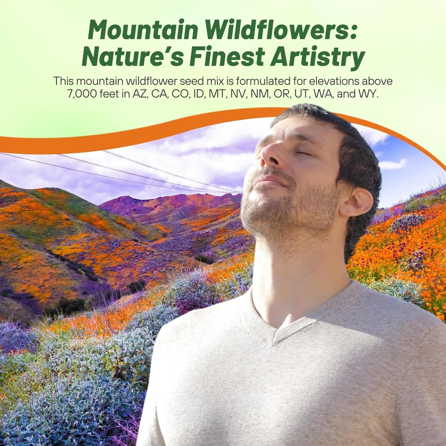 1 LB Mountain wild flower seed mix from Outsidepride.