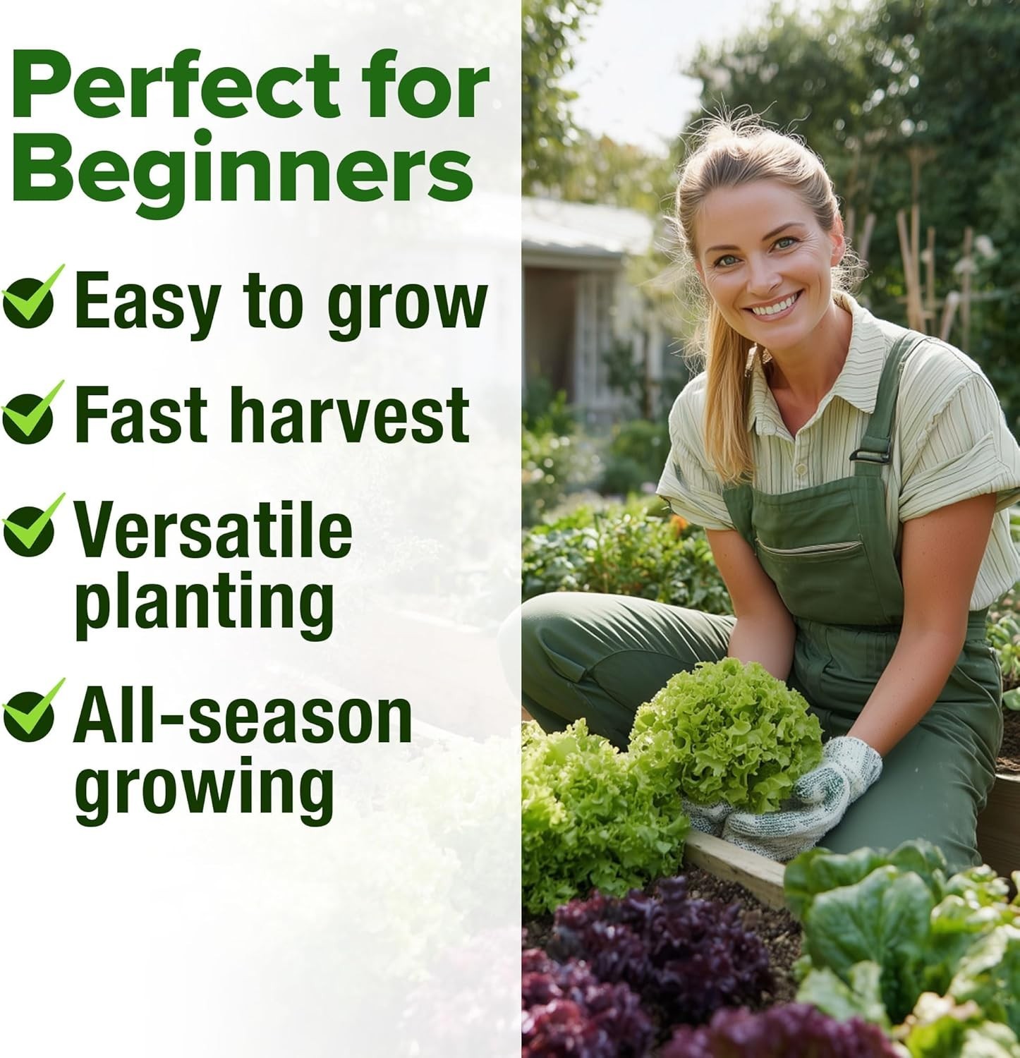 Versatile Non-GMO Lettuce Seeds: 10 Varieties for Any Gardener’s Delight