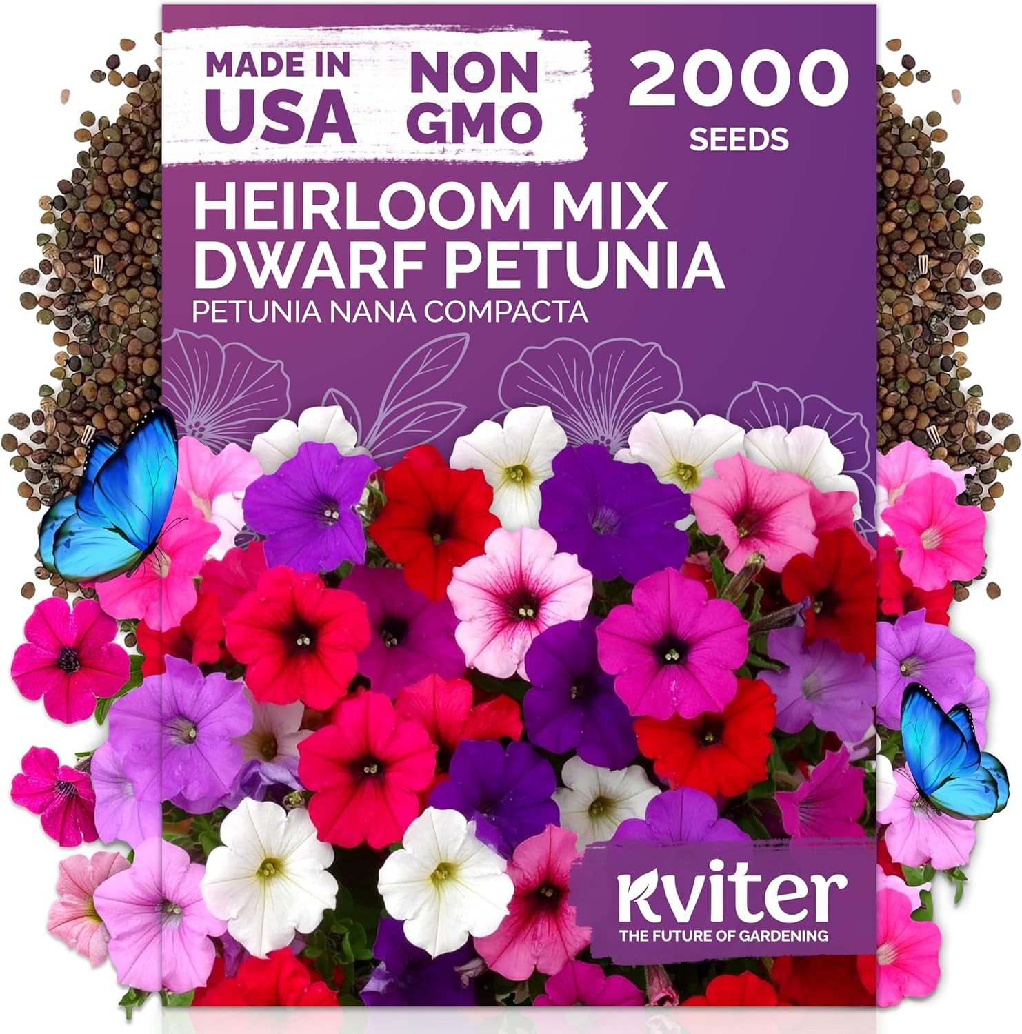 High Germination Dwarf Petunia Seeds – Vibrant 2,000 Count for Containers