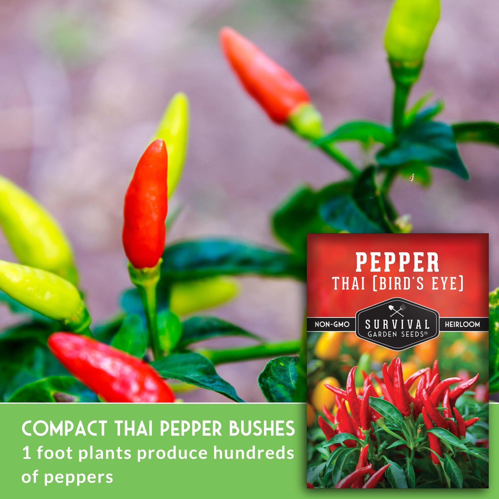 Thai Chili Pepper Seeds – Bird’s Eye Heirloom Non-GMO Hot Peppers for Gardens