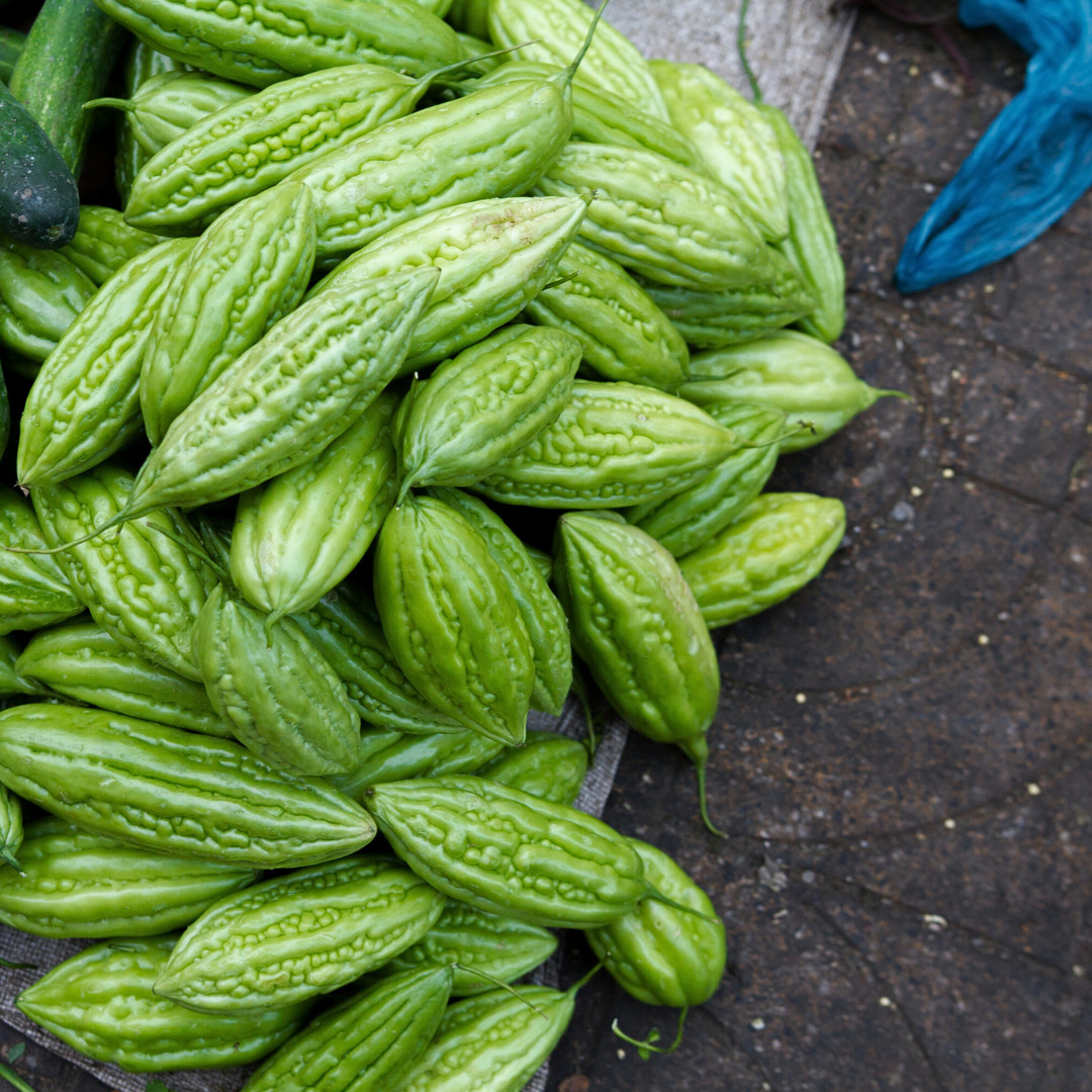 Fresh Bitter Melon Seeds | Tai Guo | Heirloom Non-GMO | Asian Vegetables