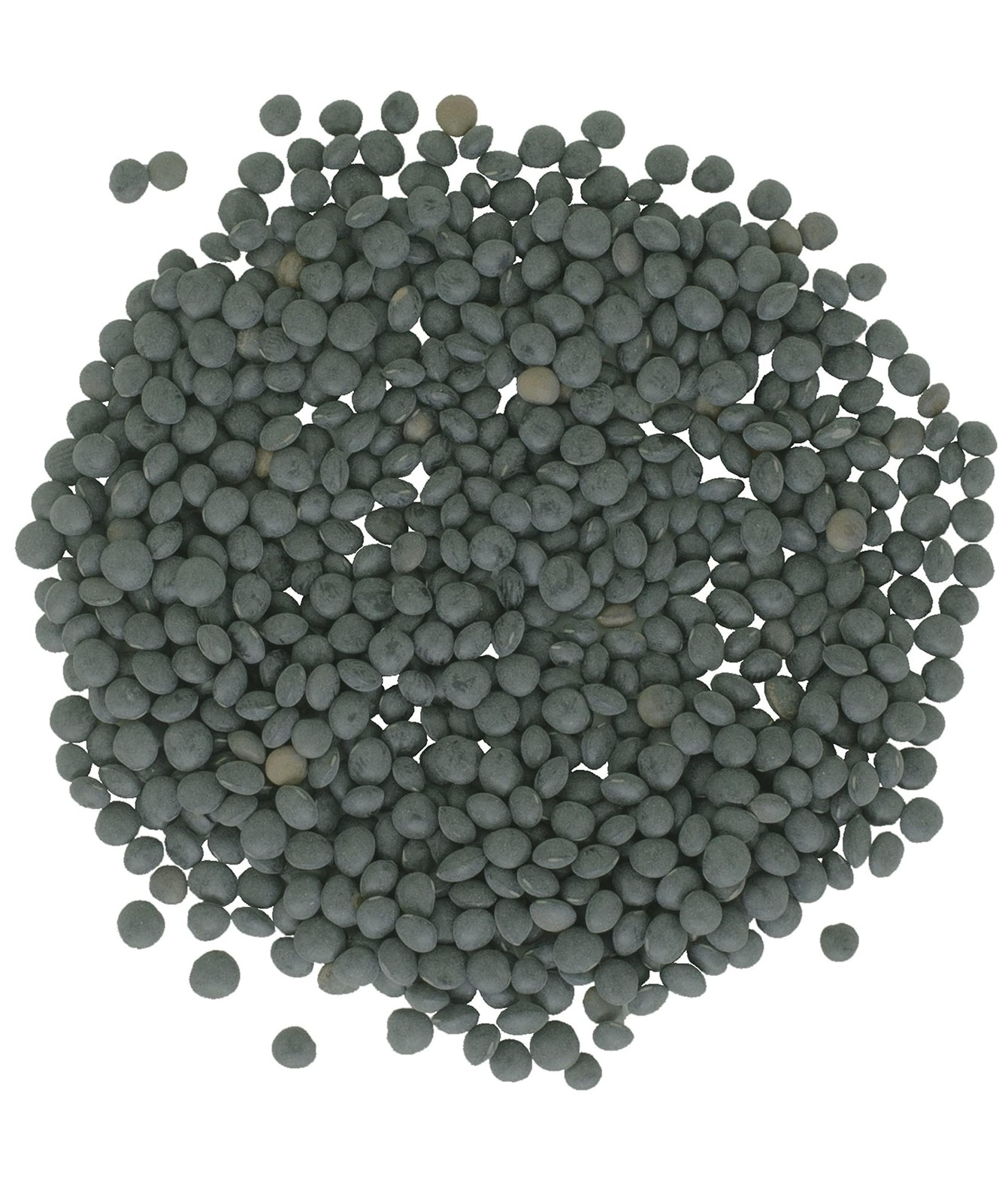 CLEAR CREEK Black Lentils | Caviar or Beluga Lentils| 18 lbs | NonGMO | Koshe…