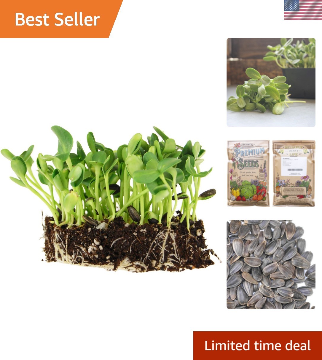 Nutritious Black Oil Sunflower Seeds for Microgreens – 128K Count per 5 Lbs
