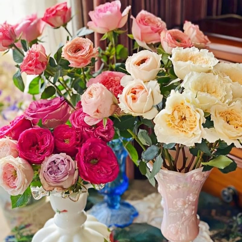 298+ Rose Seeds for Planting Outdoor & Indoor Garden, Perennial Heirloom Open Po