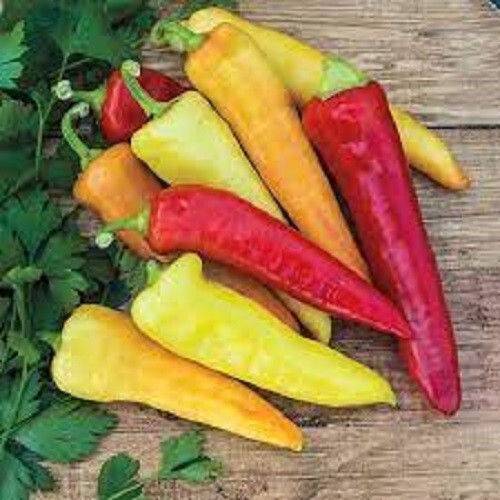 Premium Sweet Banana Pepper Seeds – Fresh Heirloom Variety – So Many Uses! Early