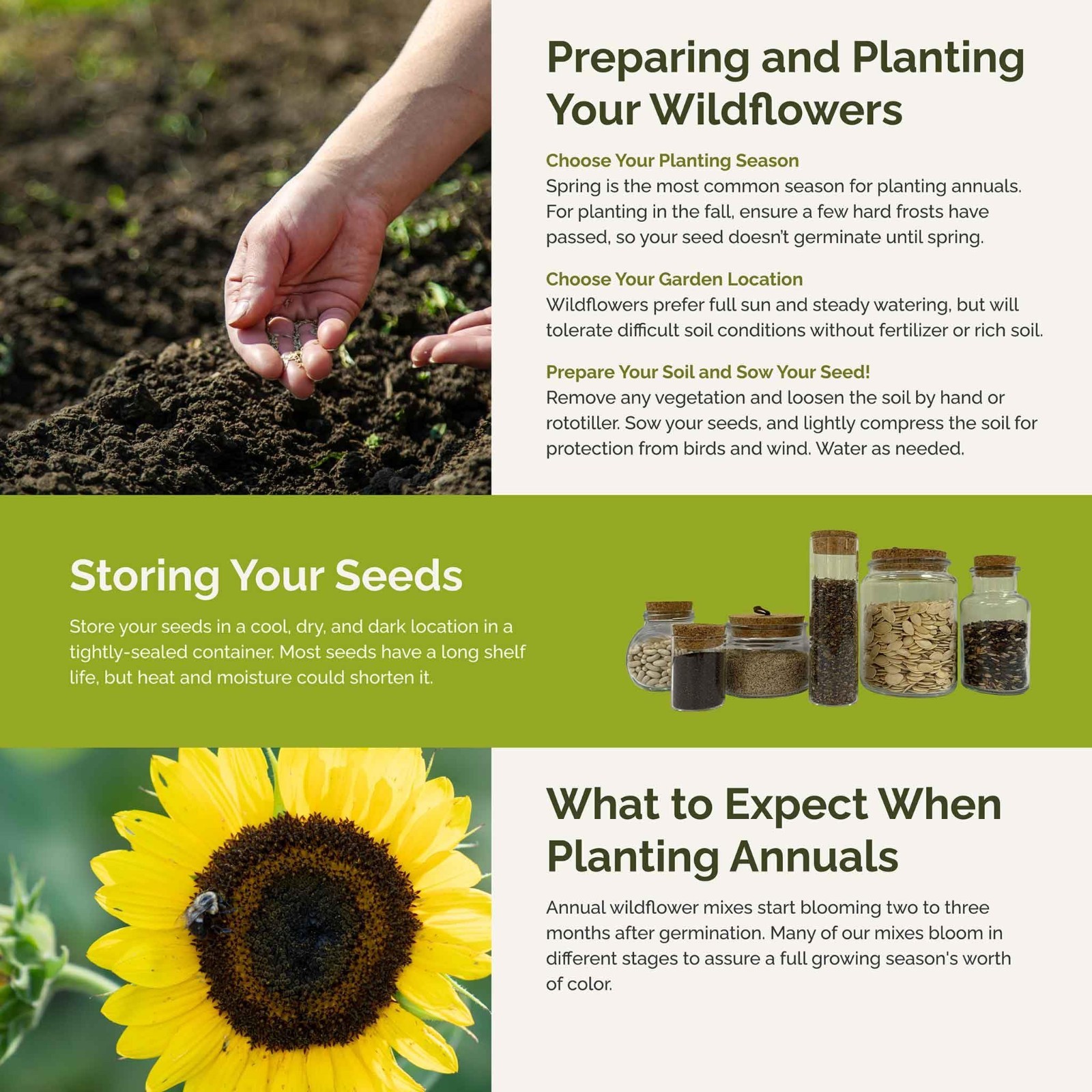 Mixed Flower Seeds for Planting – 1 lb, 480,000+ Seeds, Attracts Pollinators, Sp
