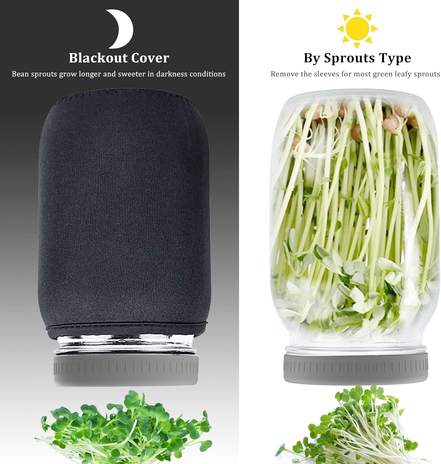 Grow Nutritious Microgreens Easily with 2 × 32 oz Sprouting Jar Kit & Lids