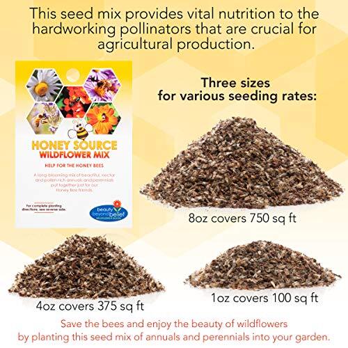 Honey Source Wildflower Seeds Mix for Honey Bees 4oz – Premium Annual and