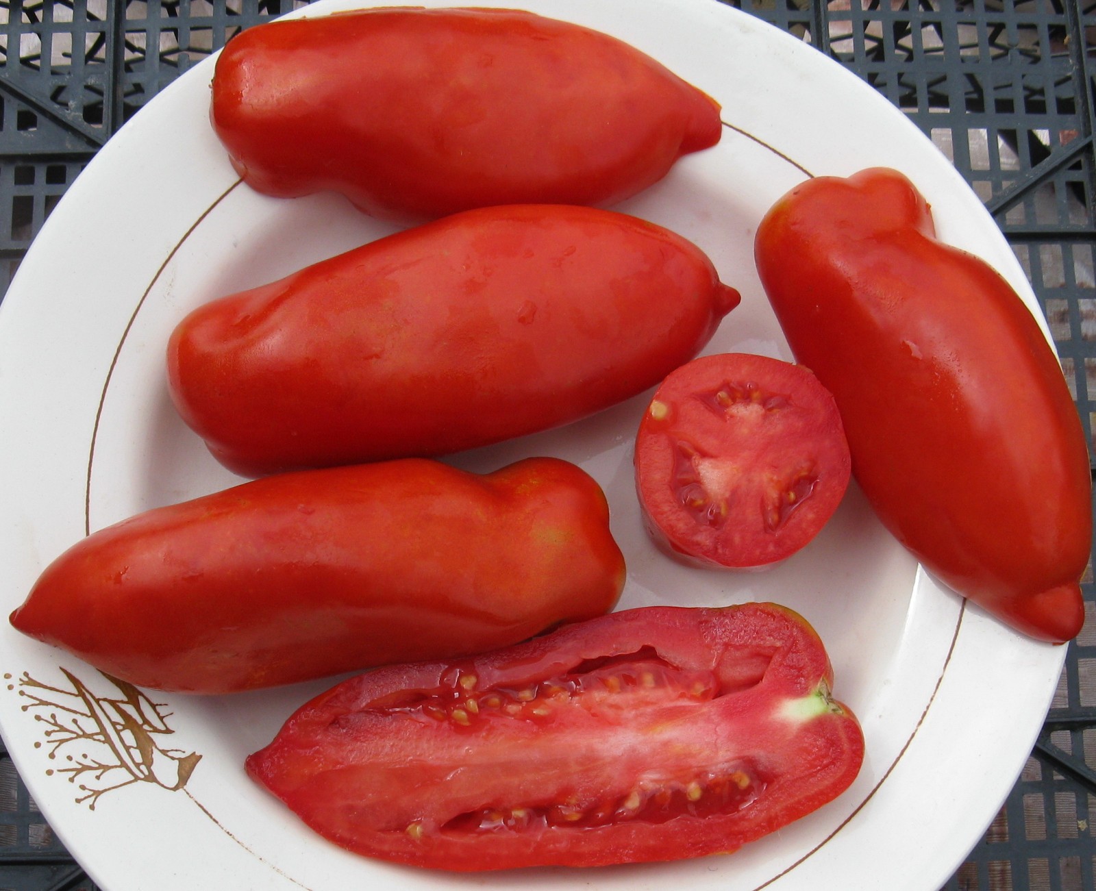 Heirloom Paste Tomato Seed Combo – 300 Seeds Total – Three Top Pasting Varieties