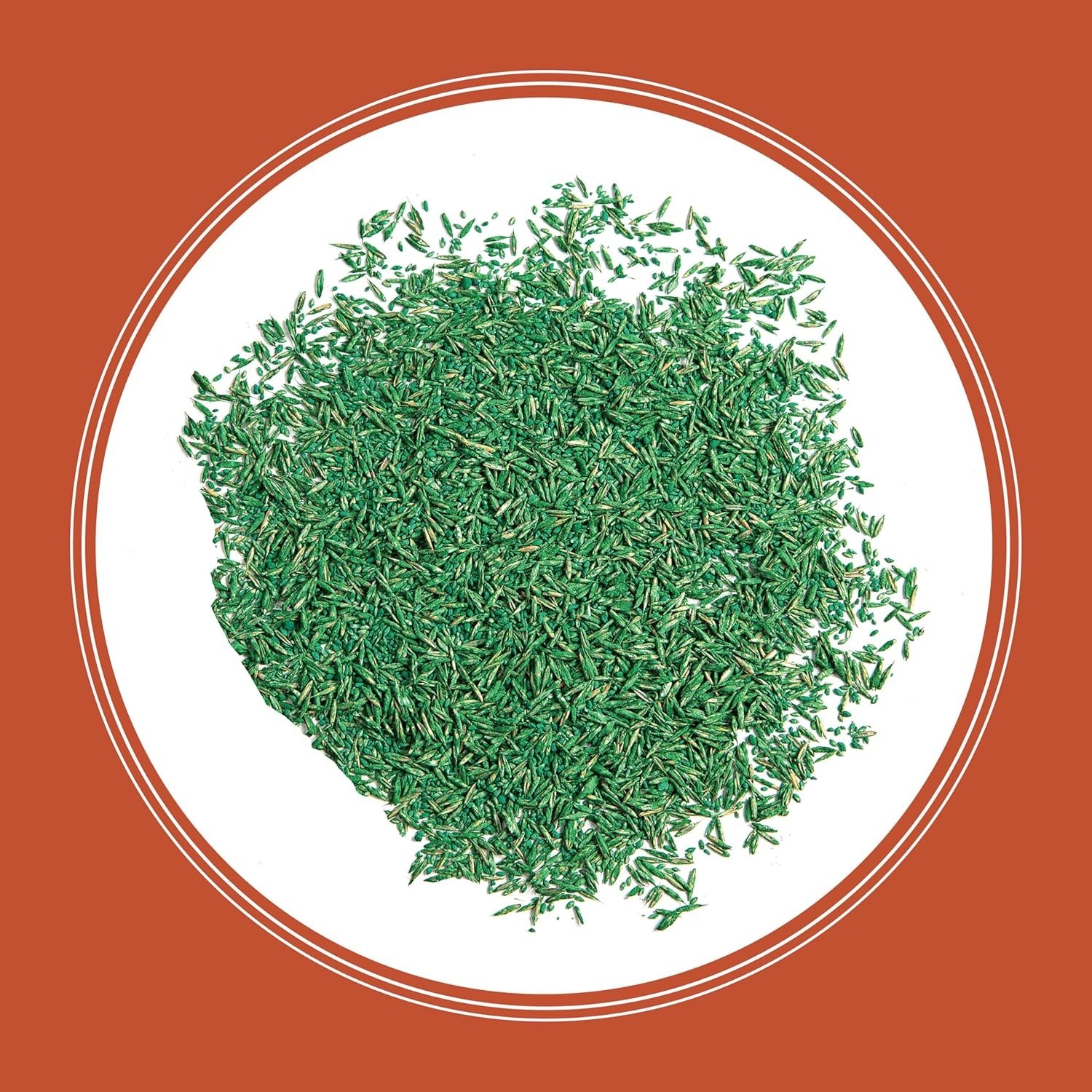 Bermudagrass Grass Seed 5 lb