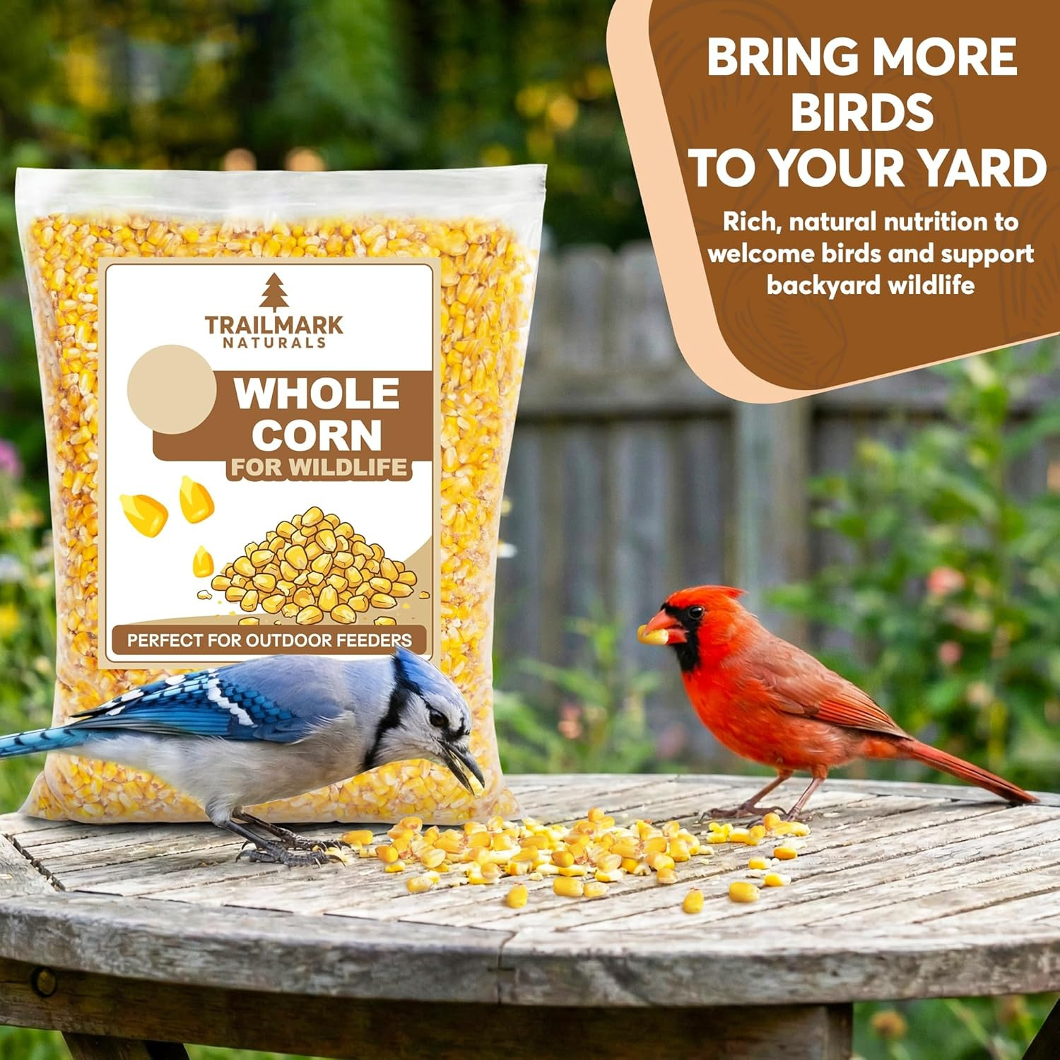 Whole Corn 10 LB– Premium Bird Seed & Wildlife Feed for Ducks, Deer, Squirrels,