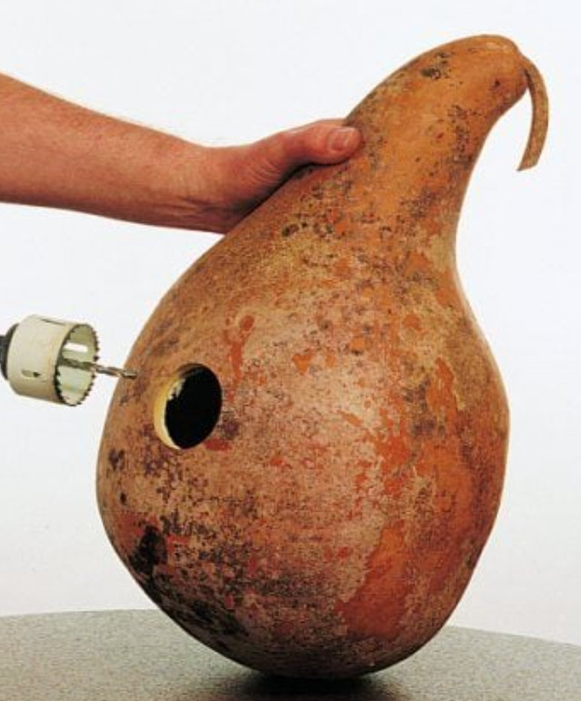 Gourd MARTINHOUSE BOTTLE Heirloom Huge Decorative BIRD HOUSE Non-GMO 20 Seeds!