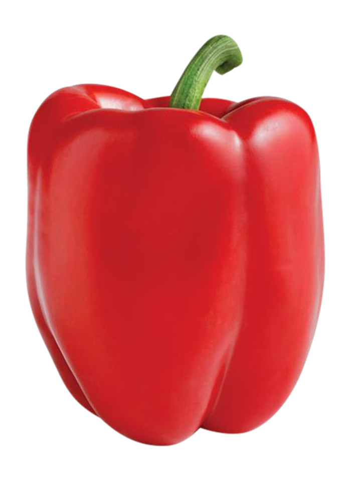 Sunset Aloha Pepper , Big Red, Yellow, Lilac, Orange Bell Pepper Seeds, 2025