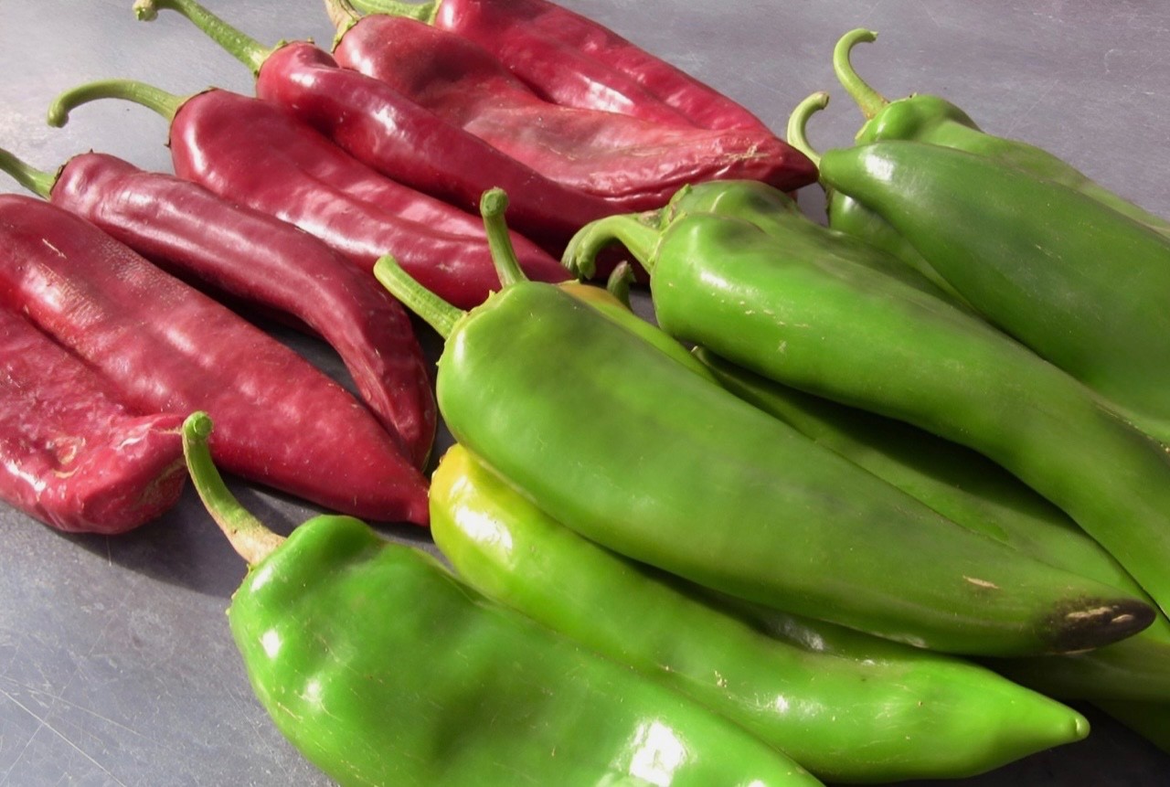 25+ NuMex Big Jim Hatch Chili Seeds, Non-GMO Heirloom, 12” Pepper, 2026 USA