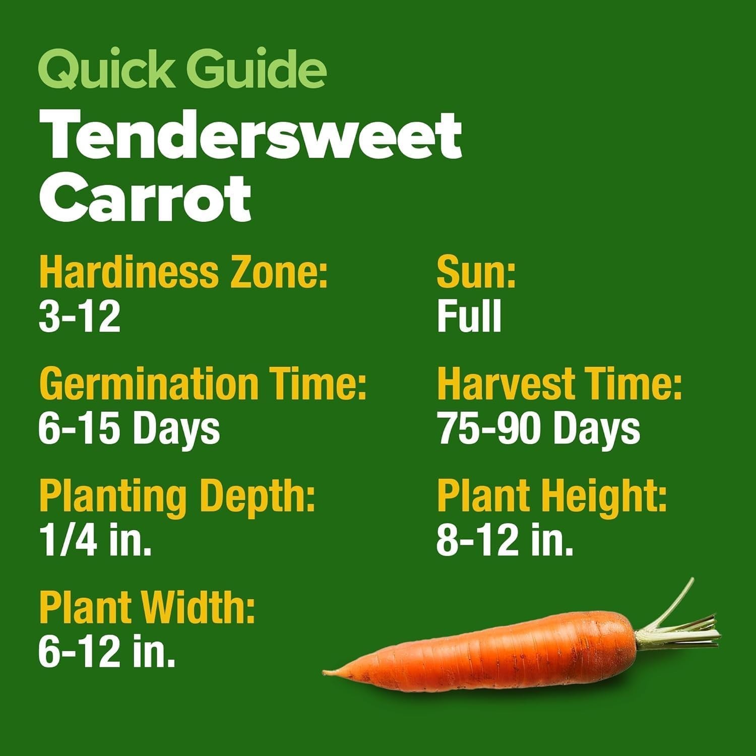 Tendersweet 3000+ Carrot Seeds | NON-GMO Carrot Seeds | Fresh Heirloom Seeds