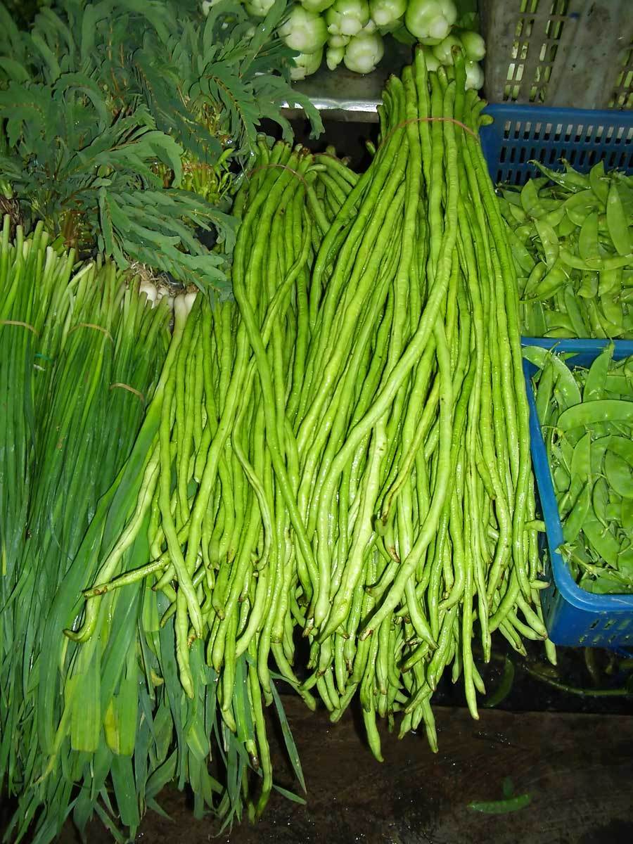 bean, YARD LONG BEANS, pole type, Green 15 seeds! GroCo made in US buy USA