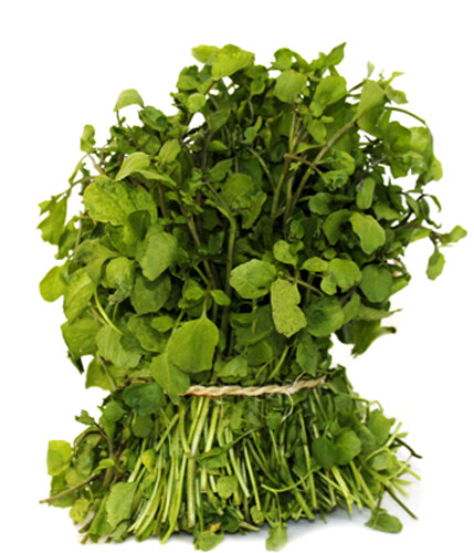 500+Watercress Seeds True Watercress Chinese Watercress Supperfood Microgreen US