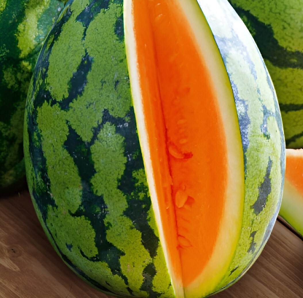 35 Heirloom Tendersweet Orange Watermelon Seeds – HUGE 30-35LB Super Sweet Melon