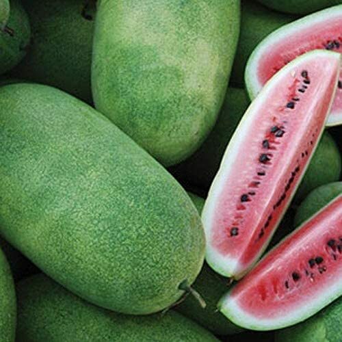 Charleston Grey Watermelon Seeds | Non-GMO | Free Shipping | Seed Store | 1047