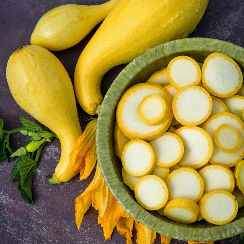 75 Yellow CrookNeck Summer Squash Seeds-with Bonus! |ORGANIC NON-GMO HEIRLOOM