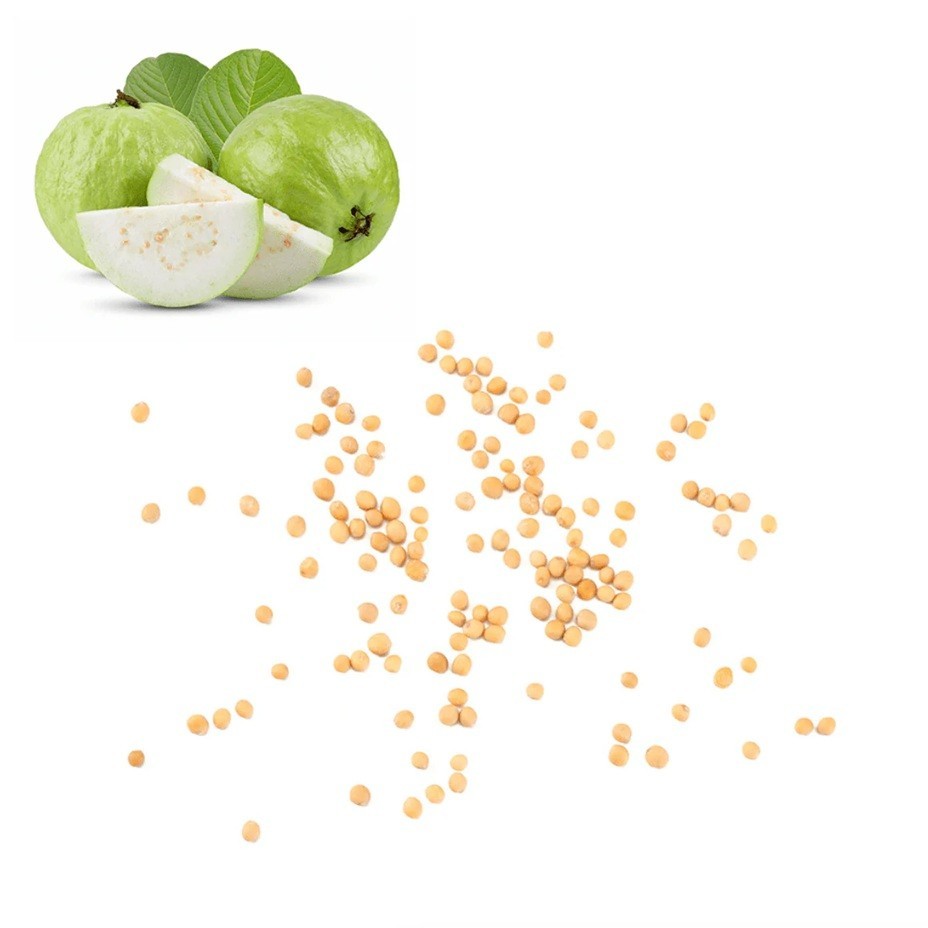 Kilo White Guava Seeds | Psidium Guajava | Organic Non-GMO | Sweet Delicious