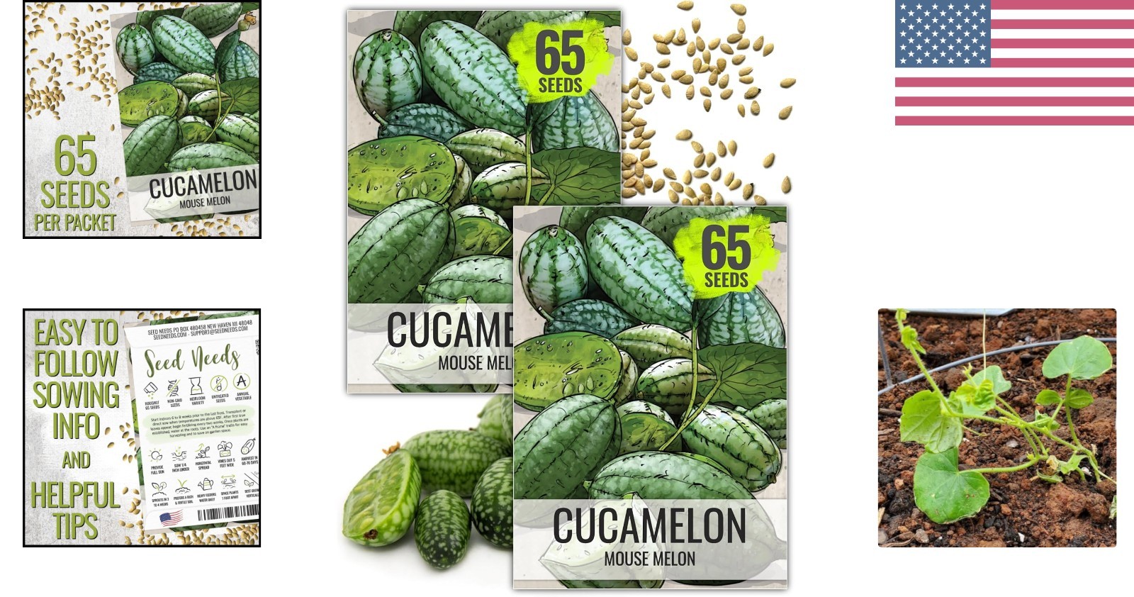Heirloom Cucamelon Seeds for Indoor/Outdoor Gardening – Non-GMO & Untreated
