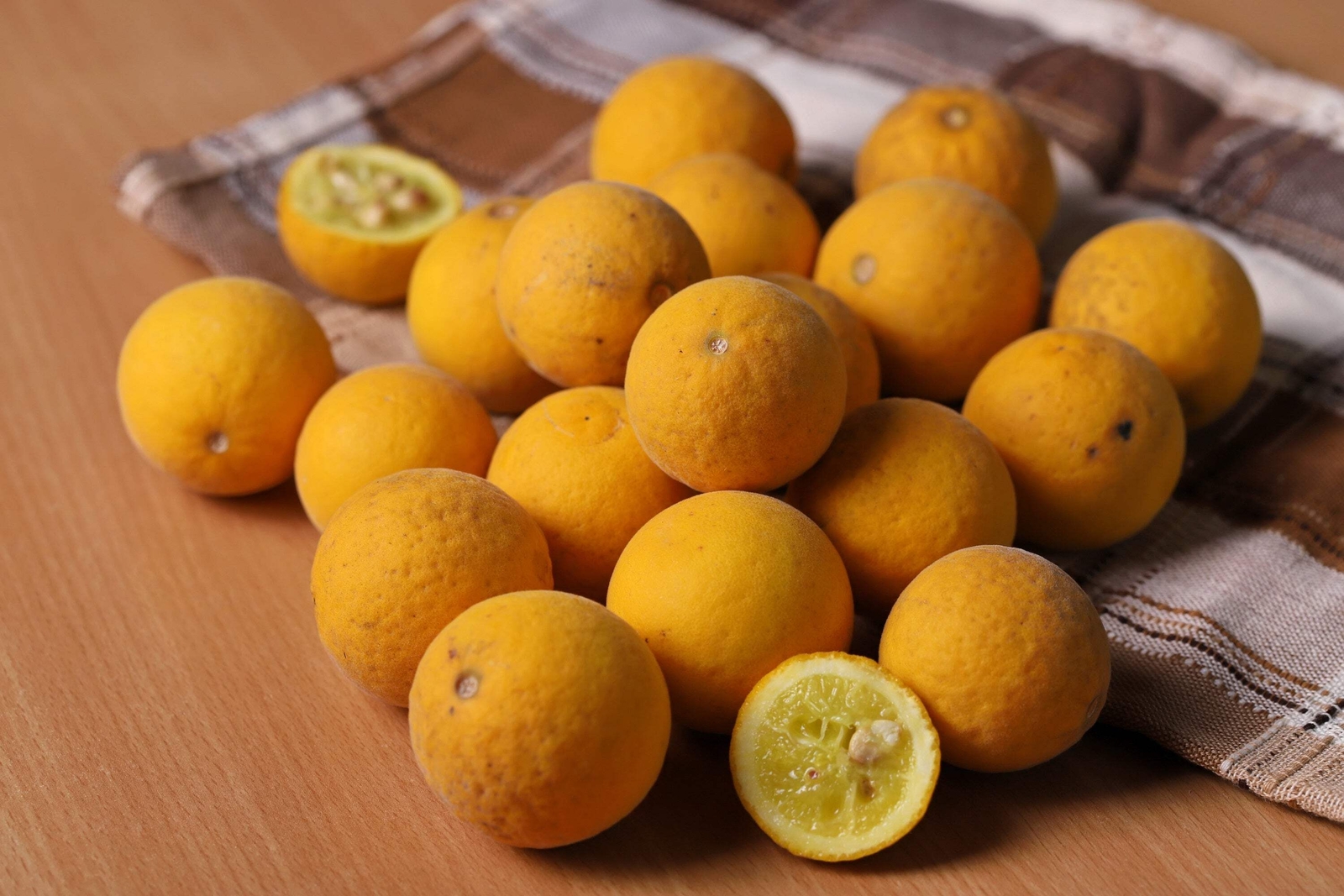 5 HARDY ORANGE TREE Trifoliate Citrus Trifoliata Poncirus Fruit Flower Seeds