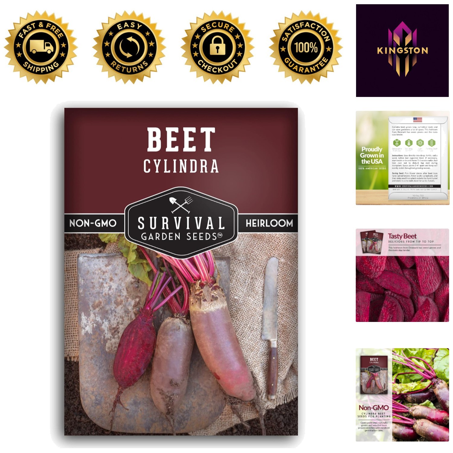 Heirloom Cylindra Beet Seeds – Compact, Disease Resistant, Sweet Flavor – 1 Pack
