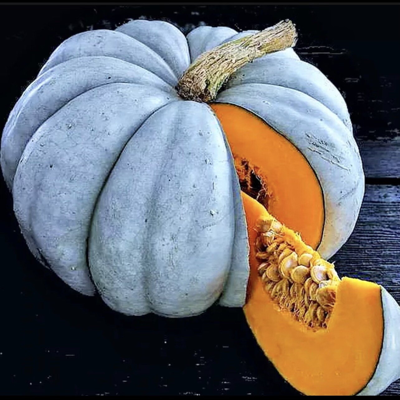 20 Blue Pumpkin Seeds | Jarradale Queensland Cinderella Doll|RARE|free Shipping!