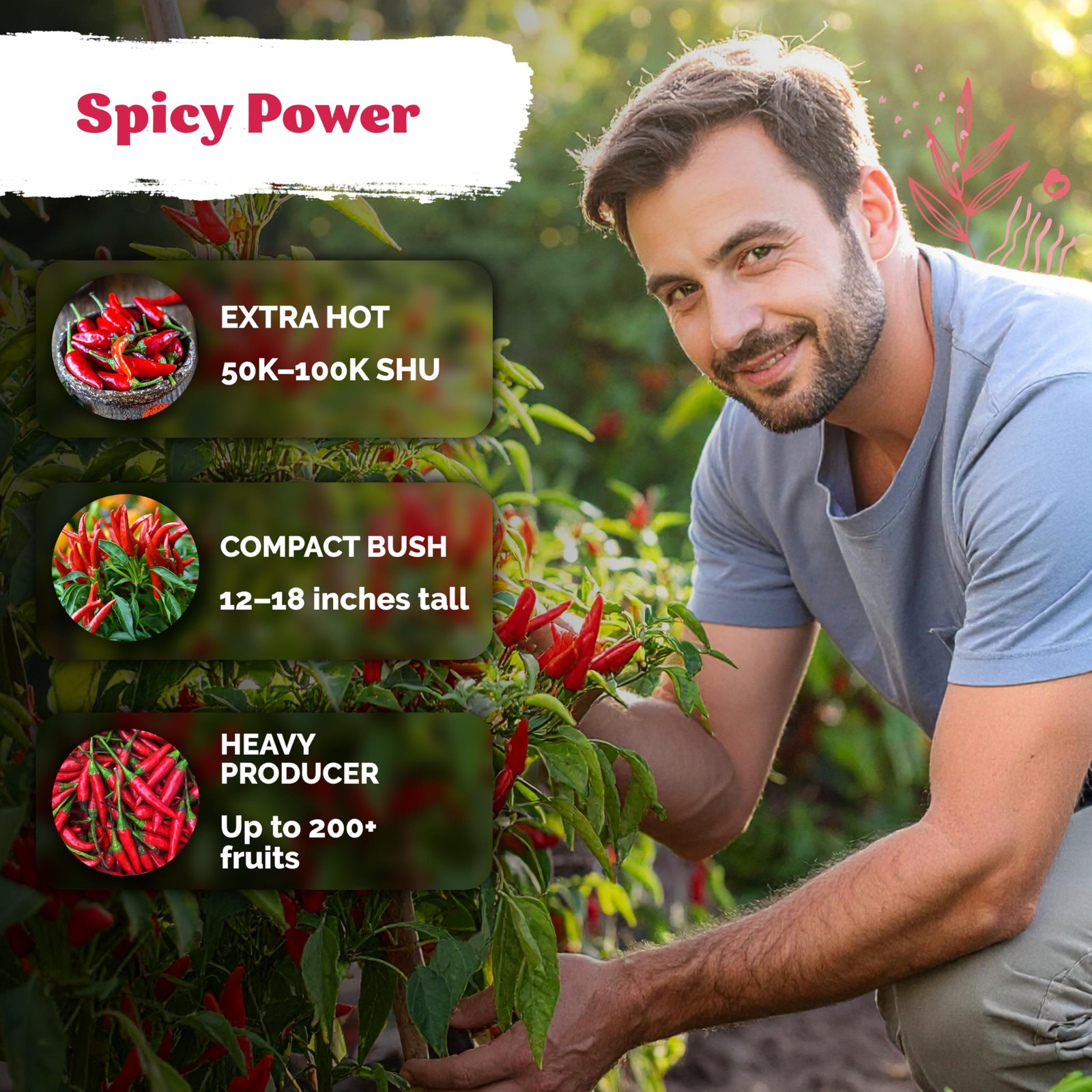 KVITER 75 Birds Eye Chili Pepper Seeds For Planting (Capsicum Annuum)