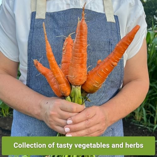 – Asian Garden Seeds for Planting – Includes Basil, Celery, Bunching Onion,