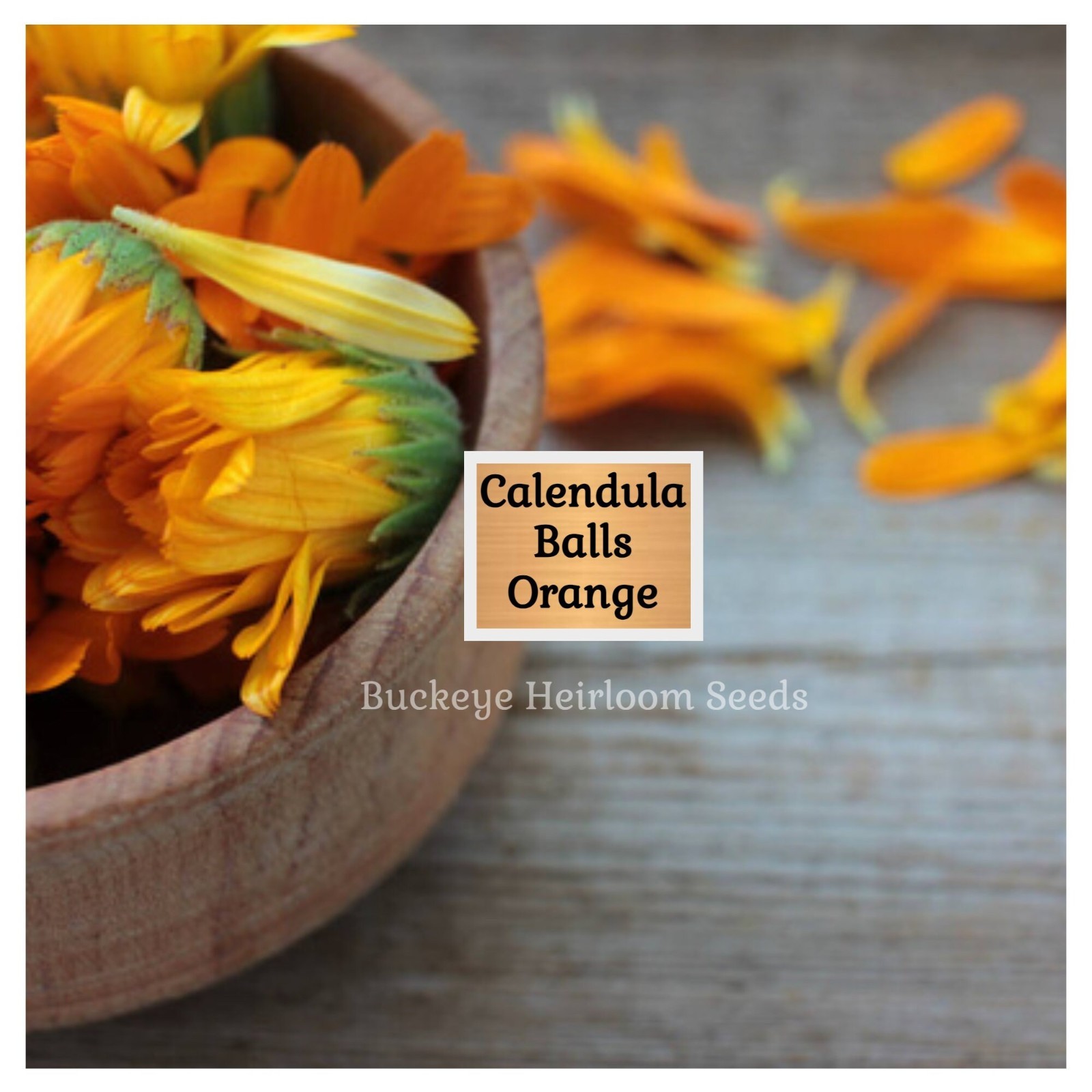 Calendula Flower Seeds – Ball’s Orange – 50 Healing Herb Seeds – Edible