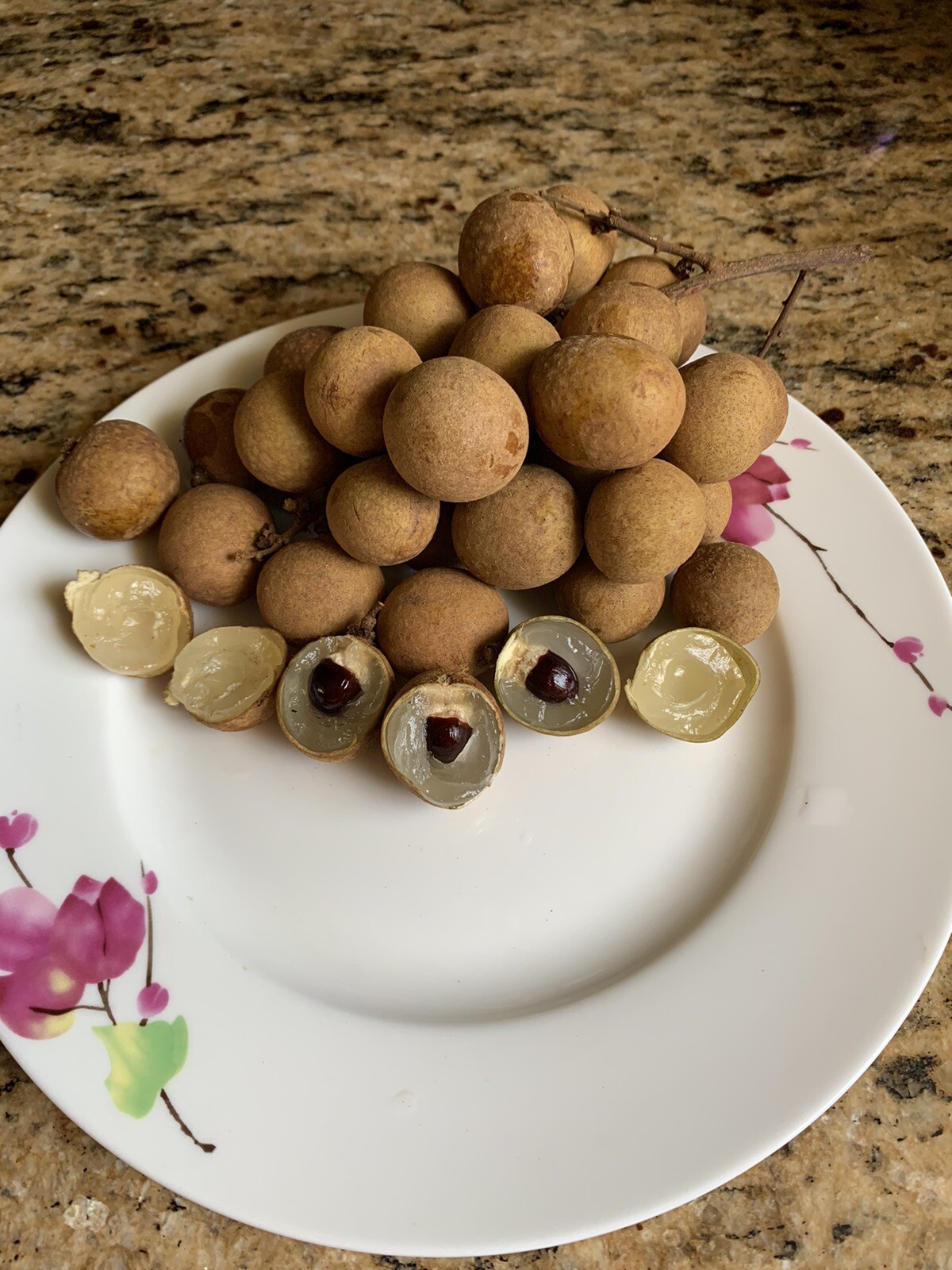 20 Longan Seeds , Dragon Eye Fruit Sweet Delicious , 2024 Season , in Florida