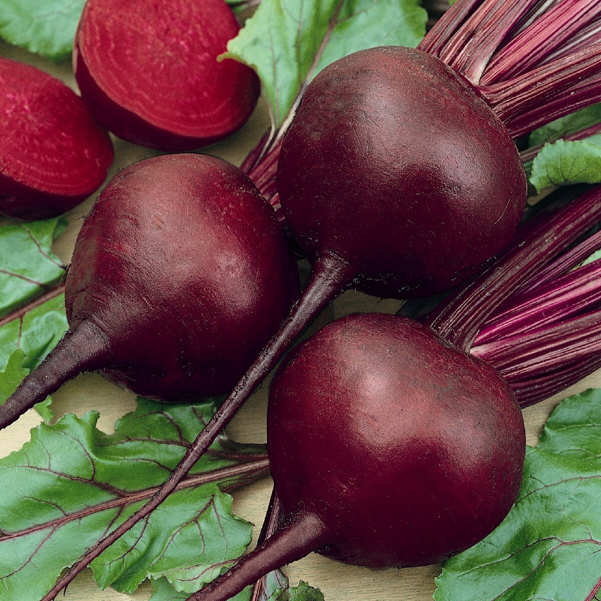200 Detroit Dark Red Beet Seeds – Everwilde Farms Mylar Seed Packet