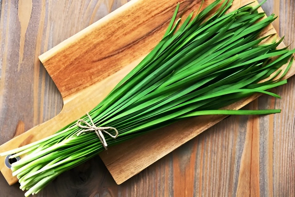 500 Heirloom Organic Garlic Chive Seeds Allium tuberosun Non-GMO Perennial Herb