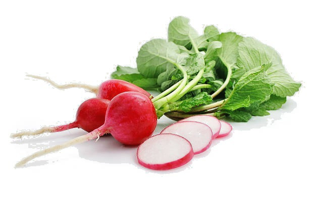 300 CHAMPION RADISH SEEDS | 2026 SALES FREE SHIPPING NON GMO