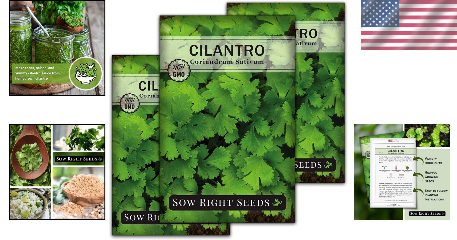 Kitchen Herb Garden Starter – Non-GMO Cilantro Seeds Perfect for Indoor/Outdoor