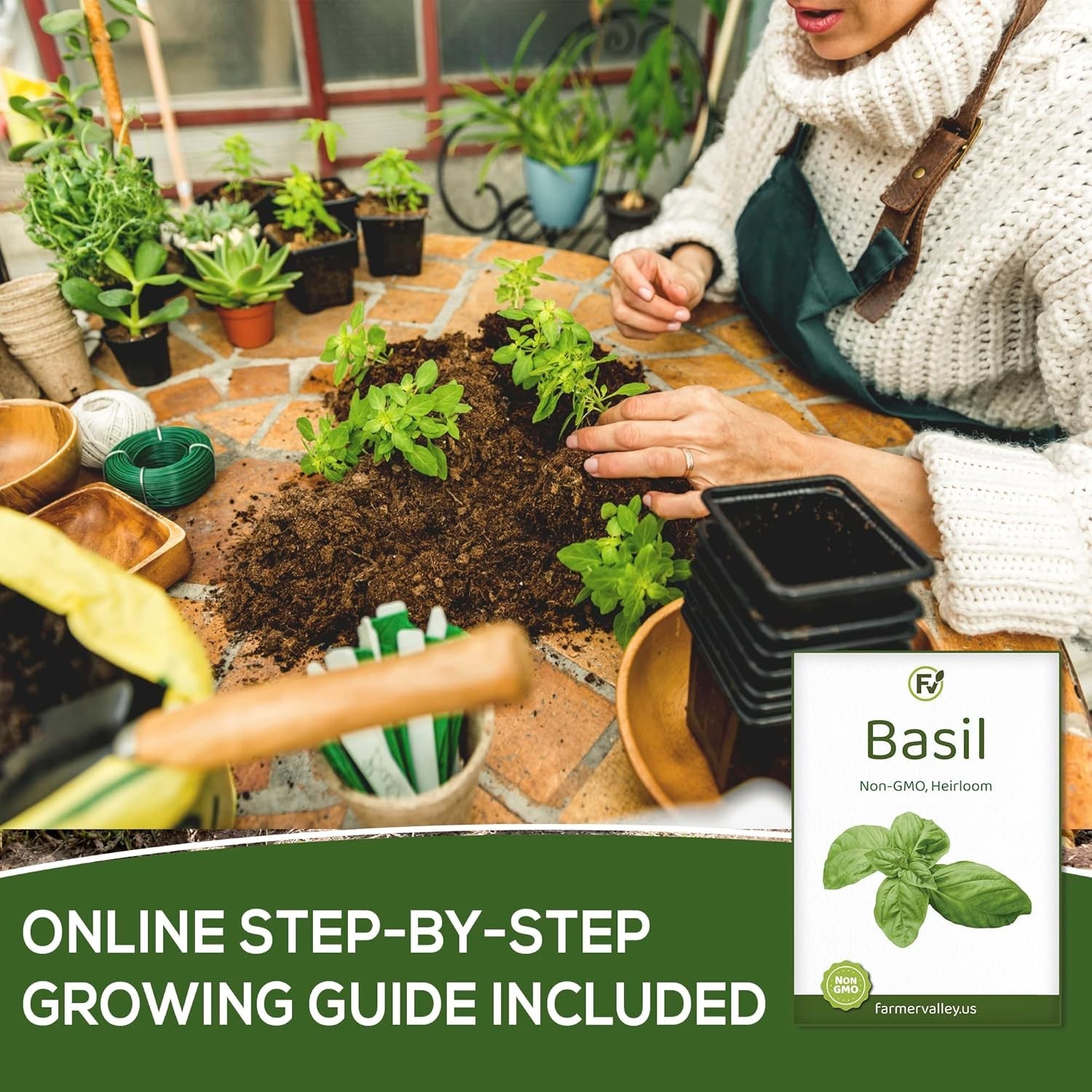Non-GMO Basil Seeds – 550 Heirloom Seeds for Indoor, Outdoor, and Hydroponics