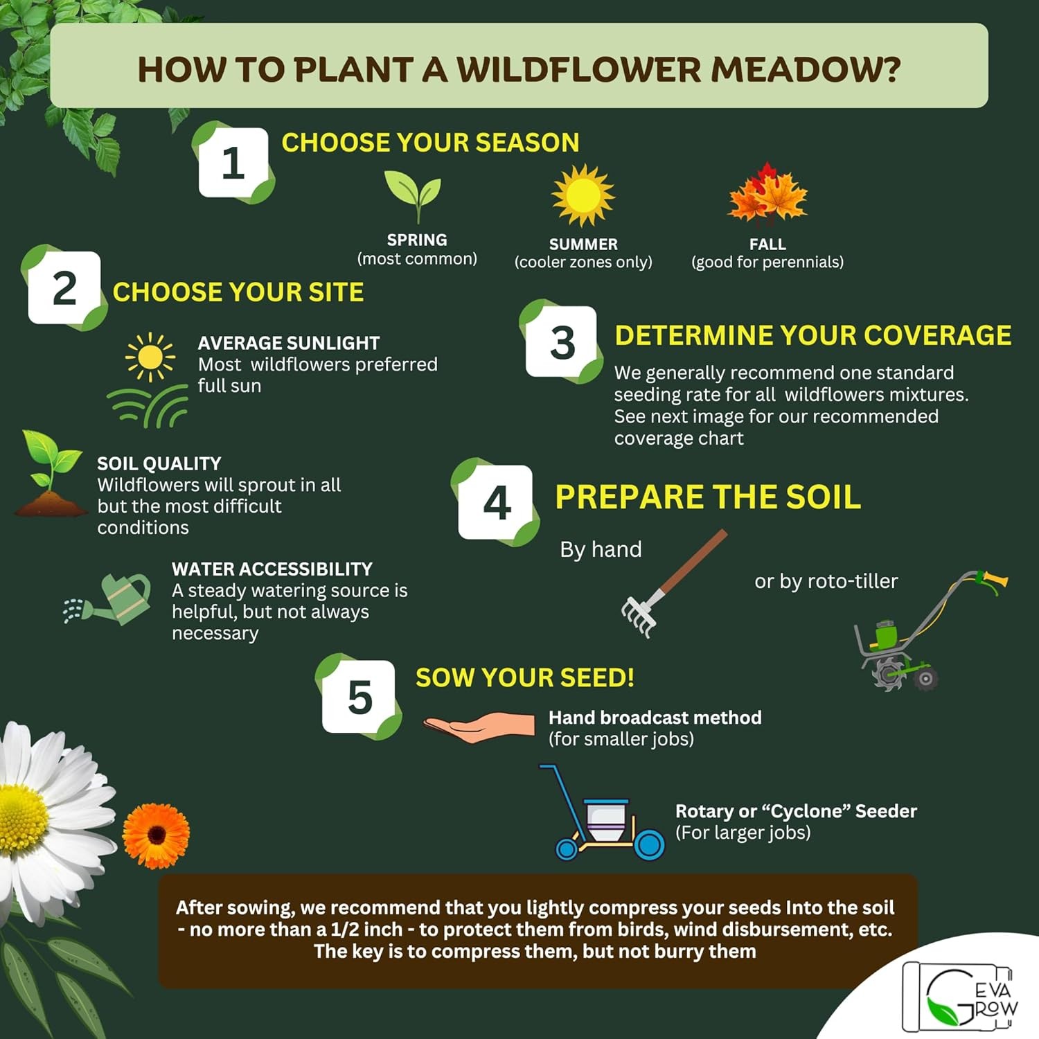 Bulk Wildflower Seed Shaker – 900,000+ Perennial Seeds Mix for Any Garden