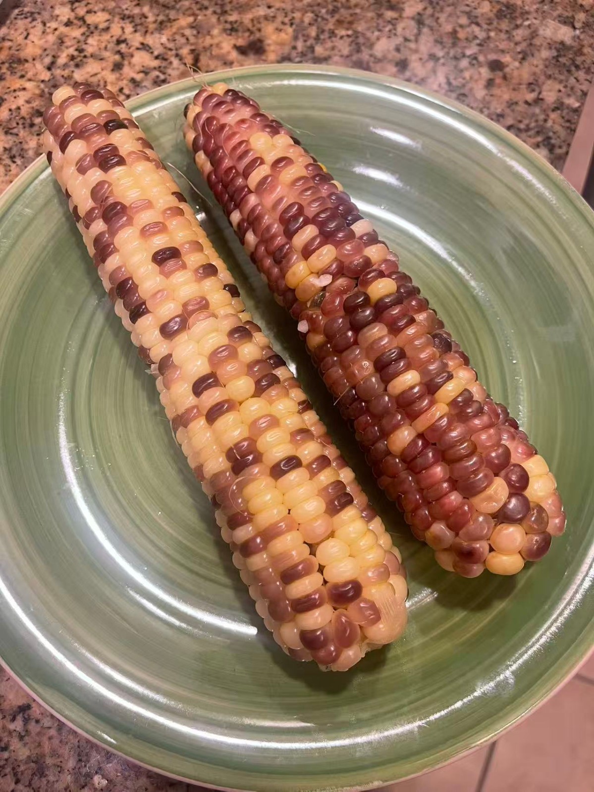 Organic Sweet Sticky Waxy Mixed Variety Glutinous Corn Non-GMO 糯玉米