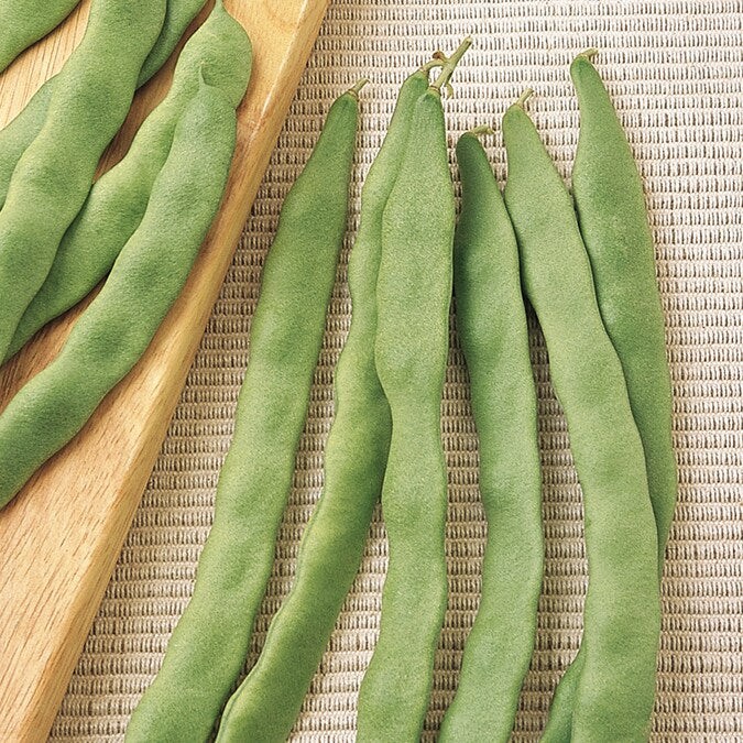 Lu Qing Romano Bean Seeds | Pole Beans Light Green Flat Runner Roma Seed 2023