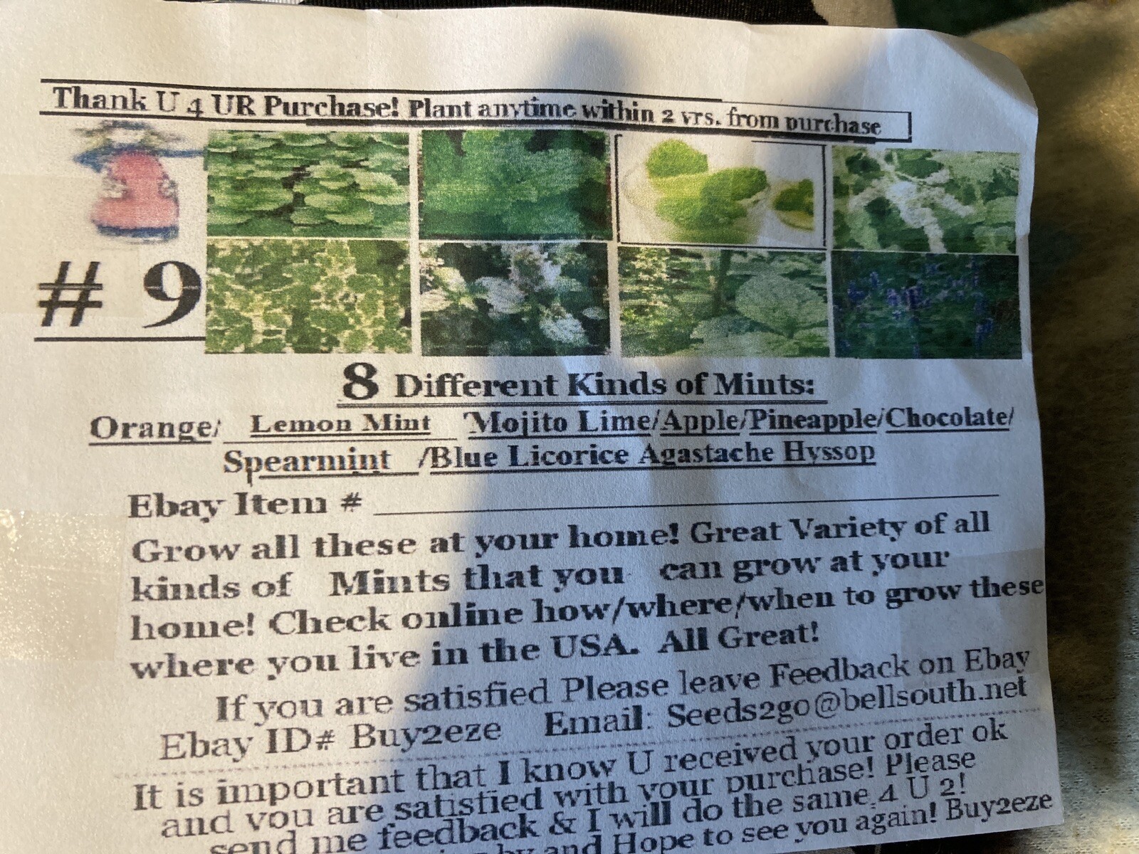 8 Seed Mints Orange/Lemon/Mojito/Apple/PineApp/Cholate/Spearmint/BlueAgastac#9