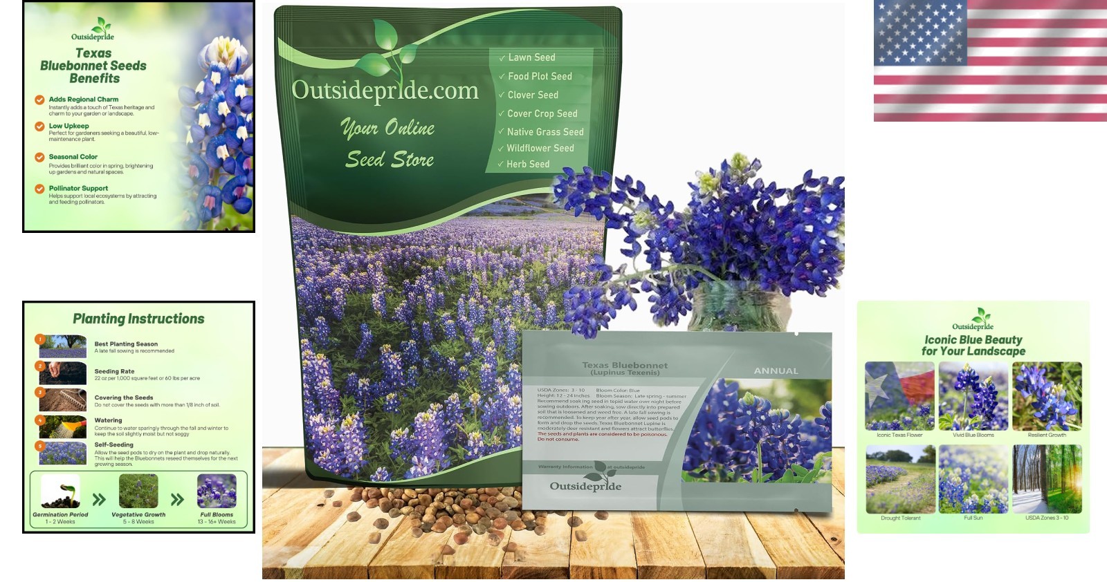 Vibrant Blue Texas Wildflower Seeds – Drought-Tolerant