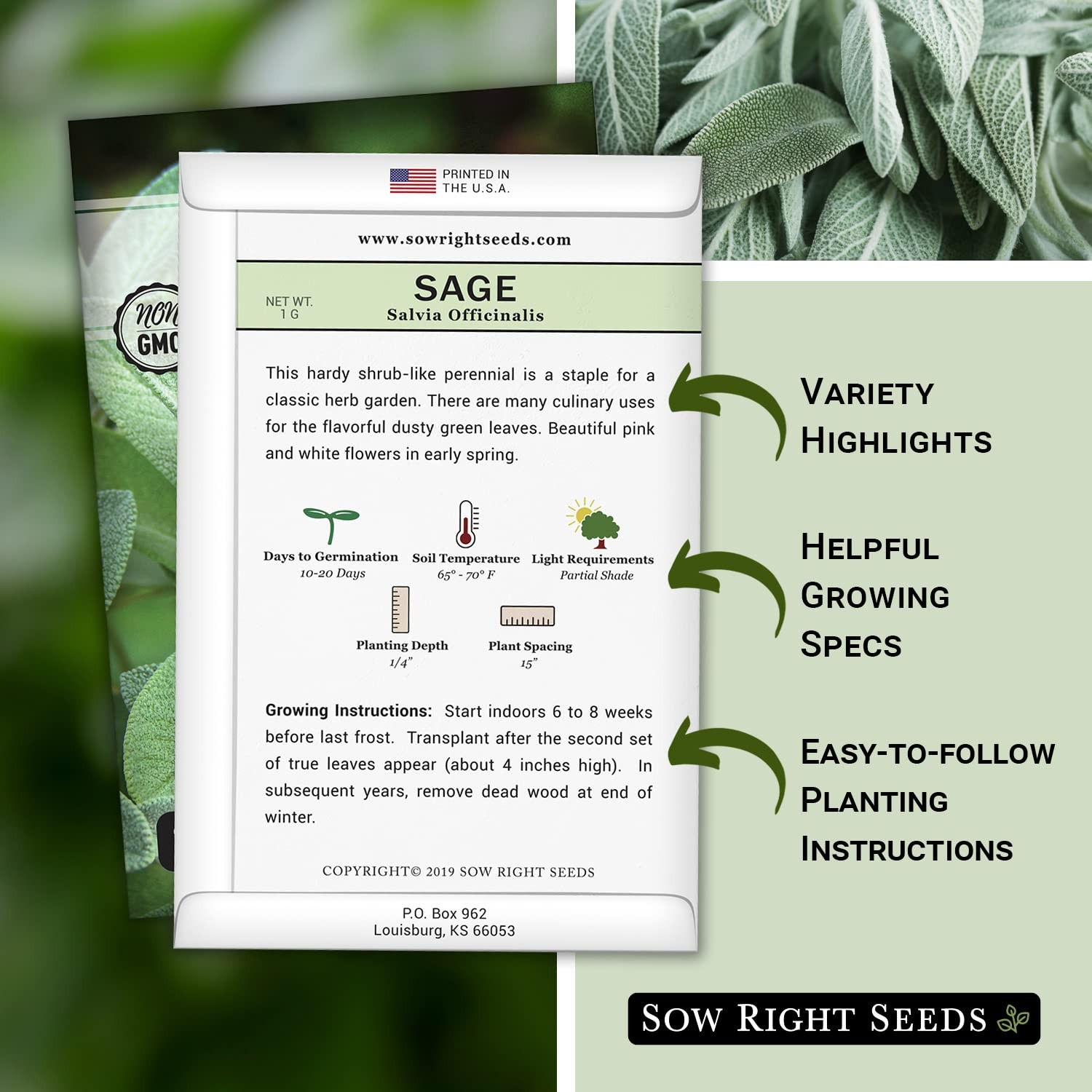 Sow Right Seeds Sage Seeds for Planting NonGMO Heirloom Packet with Instruc…