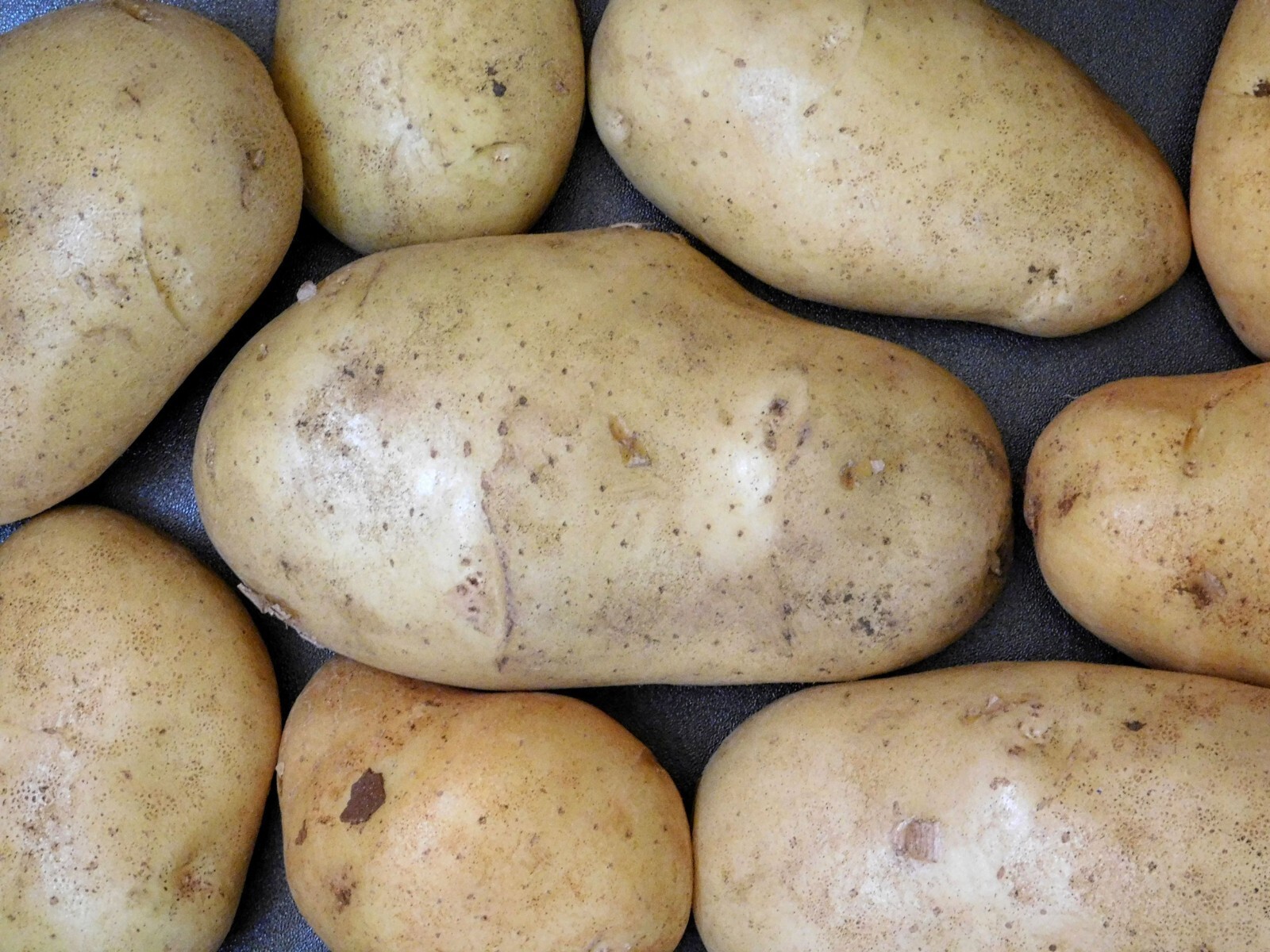 Rawjoy Fresh Russet Idaho Potatoes 5 Pounds